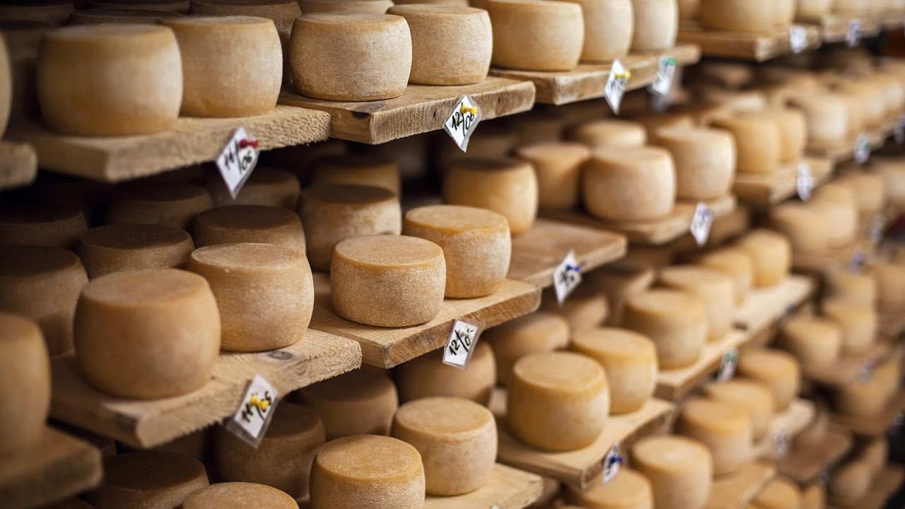 Вплив кризи: аналітичний огляд ринку обладнання для виробництва сиру в Україні